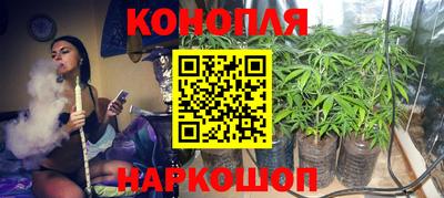 дурь Гусиноозёрск