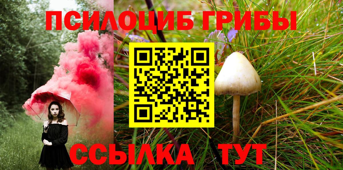 Псилоцибиновые грибы прущие грибы Кореновск